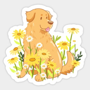 Cute golden retriever and daisy flowers Sticker